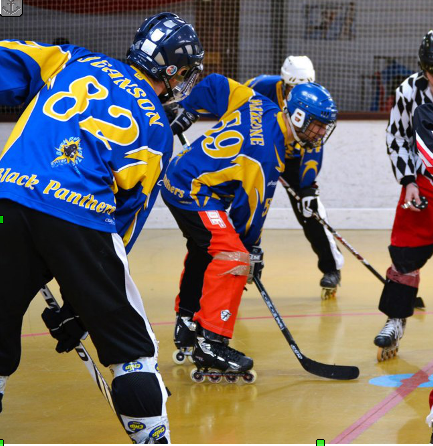 Roller In Line Hockey